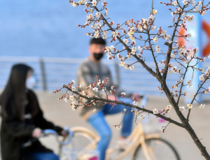 국내 코로나 신규확진자 18일 0시 445명…경기 155명·서울 124명