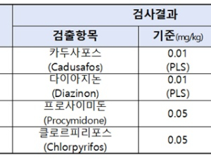머위, 취나물 등 봄나물 4종 '잔류농약' 기준 초과 검출 