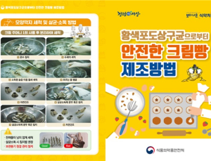 SNS 인기 주문 '케이크' 식중독균·소브산 검출…21개 제품 처분