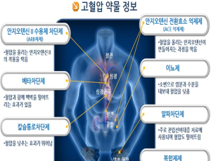 '고혈압약' 복용 까먹었더라도 1회 용량만…일부 약물은 '자몽' 섭취 주의