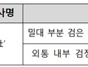 '최소잔여형 주사기' 이물보고 3건 추가…