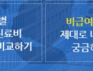 의원 '비급여 진료비' 공개 연기... 의료계 눈치보나
