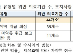 청소년에 '펜타닐 패치' 처방…마약류 오남용 의심 병원 44개소 적발