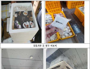 유통기한 지난 버터, 작업장엔 곰팡이…'기내식 업체·떡공방형제' 적발