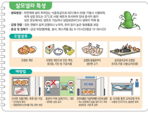 부산 밀면·성남 김밥 식중독 '살모넬라균' 원인…계란 섭취 주의 