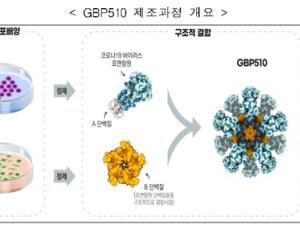 SK바이오 '국산 1호' 코로나 백신 만들까…'3상 임상' 첫 승인
