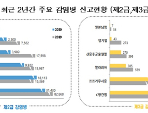 작년 '코로나19' 외 감염병 신고 47% ↓…사망자는 4% 늘어