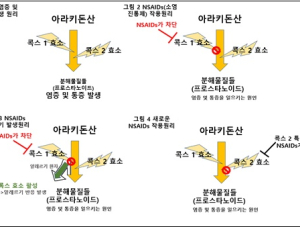 [건강나침반] 백신 접종 후 소염진통제 먹었는데 알레르기 반응 나타나면?
