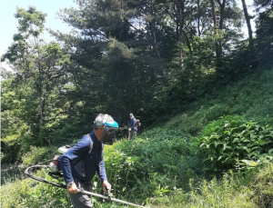 차안에서 영상 시청 '눈 건강' 해친다