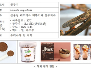 메뚜기과 곤충 '풀무치' 식품원료로 인정…선식 등에 활용