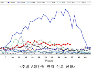 'A형간염' 4690명 신고, 2011년 이후 최다…30~40대 전체 70%