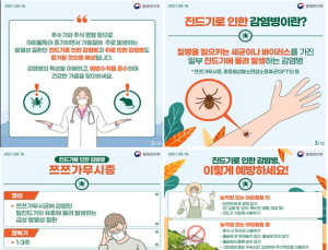 진드기병 '쯔쯔가무시증' 본격 호발 기간 앞두고 발생 증가 중