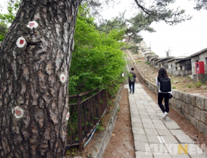 정부 “가을 단풍철 여행으로 인한 코로나19 추가 확산 방지하겠다”