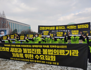간호법 제정 논의, 결국 내년으로