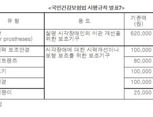 “시각장애인에게 언제까지 흰지팡이만 지원할거냐”