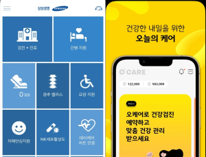민간보험사 건강관리서비스, 의료민영화 첫발 되나