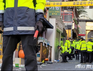 이태원 참사 사망자 141명 신원확인…10명은 파악 중
