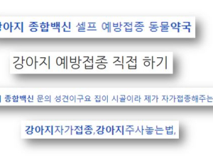 반려견·반려묘 백신, ‘셀프 접종’ 못 한다