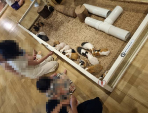 어린이들 ‘동물 만지기’ 조심… ‘인수공통감염병’ 주의
