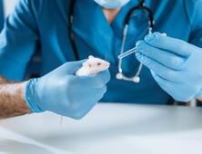美, 신약 허가 요건서 동물실험 폐지…인공장기·AI 예측 대안되나