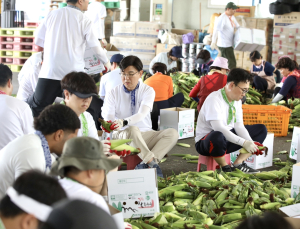 현대글로비스, ‘1사 1촌’ 결연 농가 일손 돕기 실천 