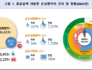 의료 대란 영향에…작년 응급실 방문환자 50% 이상 급감