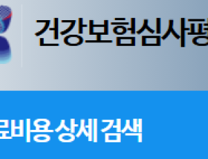 심평원, 2025년 전국 의료기관 693개 비급여 항목 가격 공개
