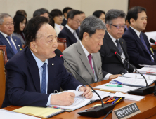 ‘인종차별 발언’ 김철수 적십자사 회장 사의