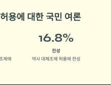 대체조제 두고 엇갈린 의·약…‘같은 성분 다른 약’ 논쟁