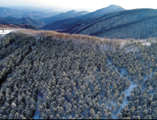 산림청 선정 '백두대간 명소 20선' [쿠키포토]
