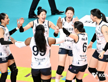 0-2서 3-2로…도로공사, GS칼텍스전 리버스 스윕 ‘역전승’ [쿠키 현장]