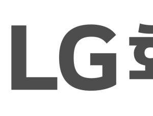 LG화학, 장기지속형 비마약성 국소마취제 ‘엑스파렐’ 도입
