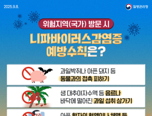 치명률 최대 75% 니파바이러스…질병청 “확산은 제한적, 주의 필요”
