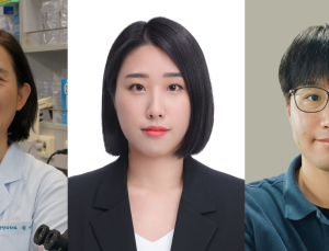 “살아있는 균 아니어도 효과”…프로바이오틱스 장 염증 완화 확인