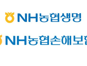 농협금융 보험계열사 1분기 실적 희비…생명 감소·손보 증가