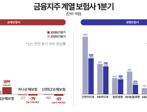 “투자도 어렵네”…금융지주 보험계열사 실적 ‘뚝’