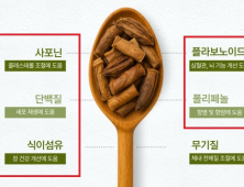 식약처, ‘감기 예방·면역력 강화’ 식품 부당광고 165건 적발