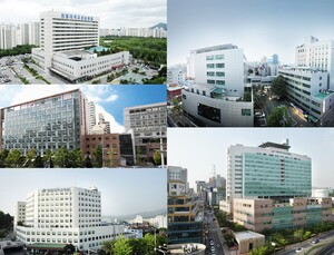 한림대의료원 연구 경쟁력 ‘쑥’…네이처 인덱스 국내 8위
