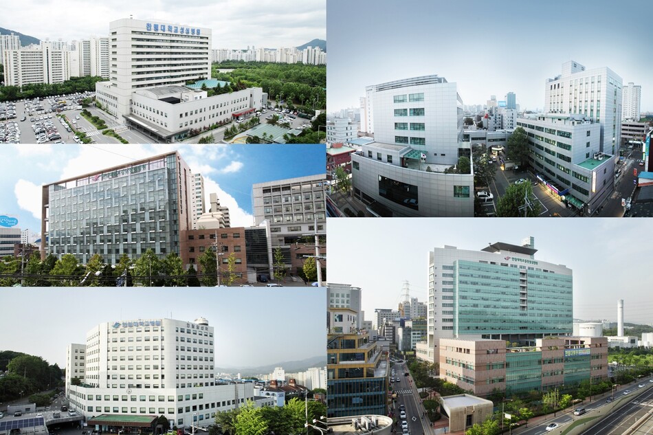 한림대학교의료원 전경. 한림대학교의료원 제공