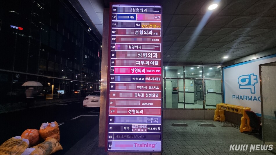 서울 강남의 한 빌딩에 성형외과, 피부과 의원 등이 자리하고 있다. 신대현 기자